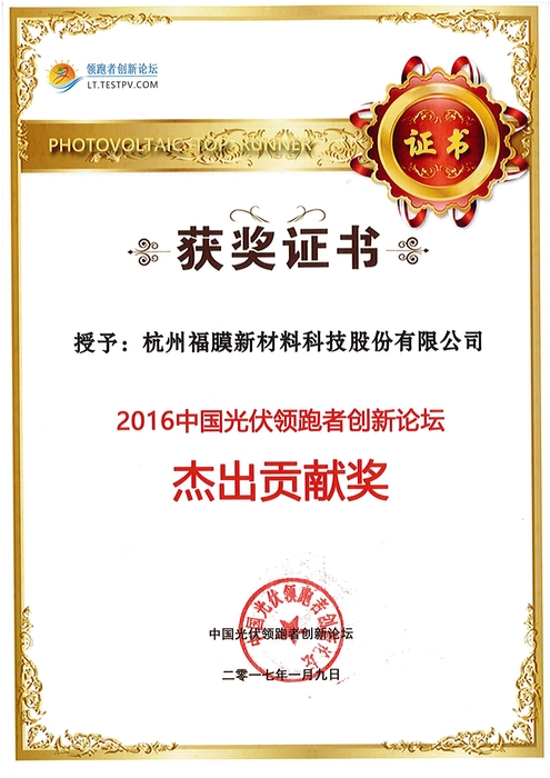 中国光付领跑者立异论坛优异孝顺奖2017.jpg