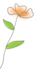 202541